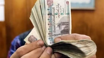 تفاصيل صرف منحة البطالة 2025.. الشروط والخطوات الرسمية